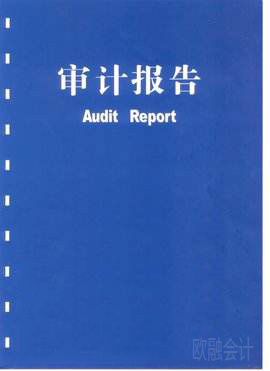 香港公司审计报告